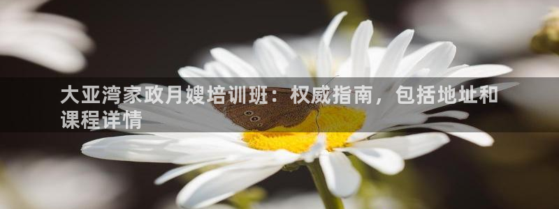 杏悦平台公司介绍